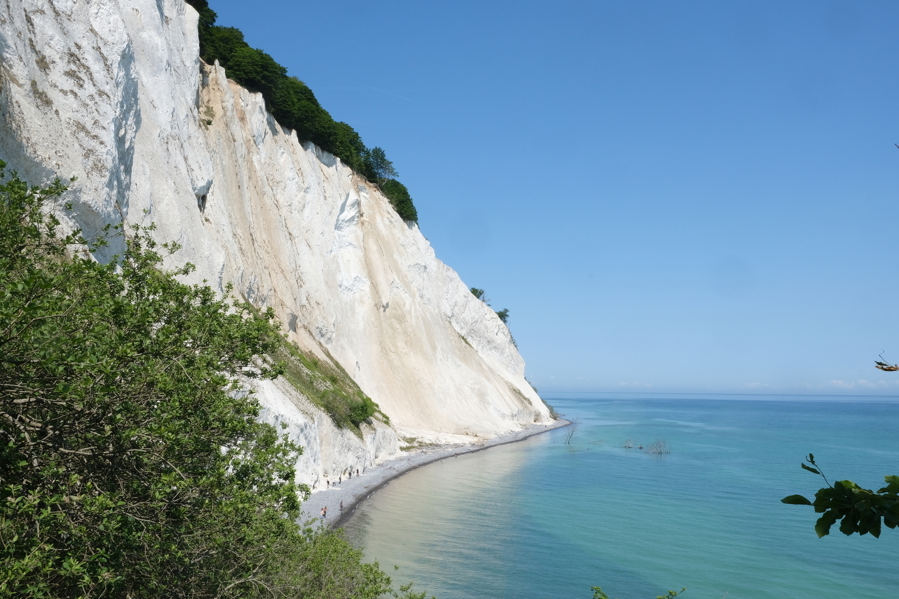 A stunning white chalk cliff overlooks a calm blue sea, surrounded by lush greenery under a clear blue sky.