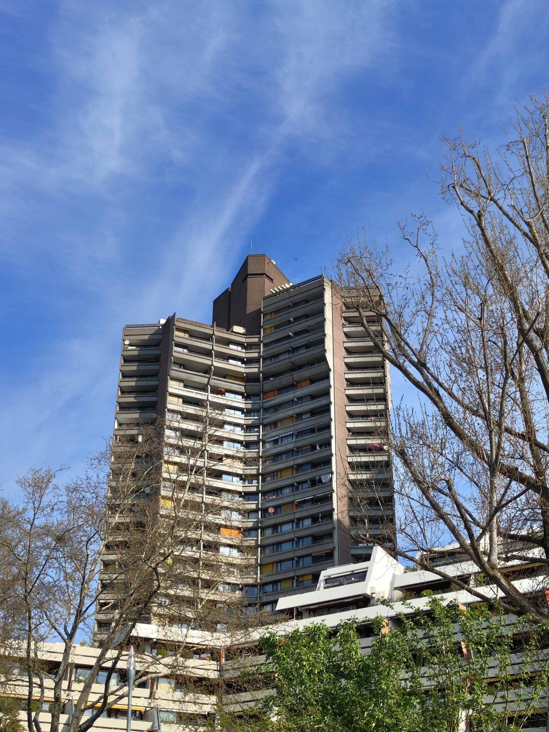 A tall, modern apartment building stands against a clear blue sky, framed by leafless trees.