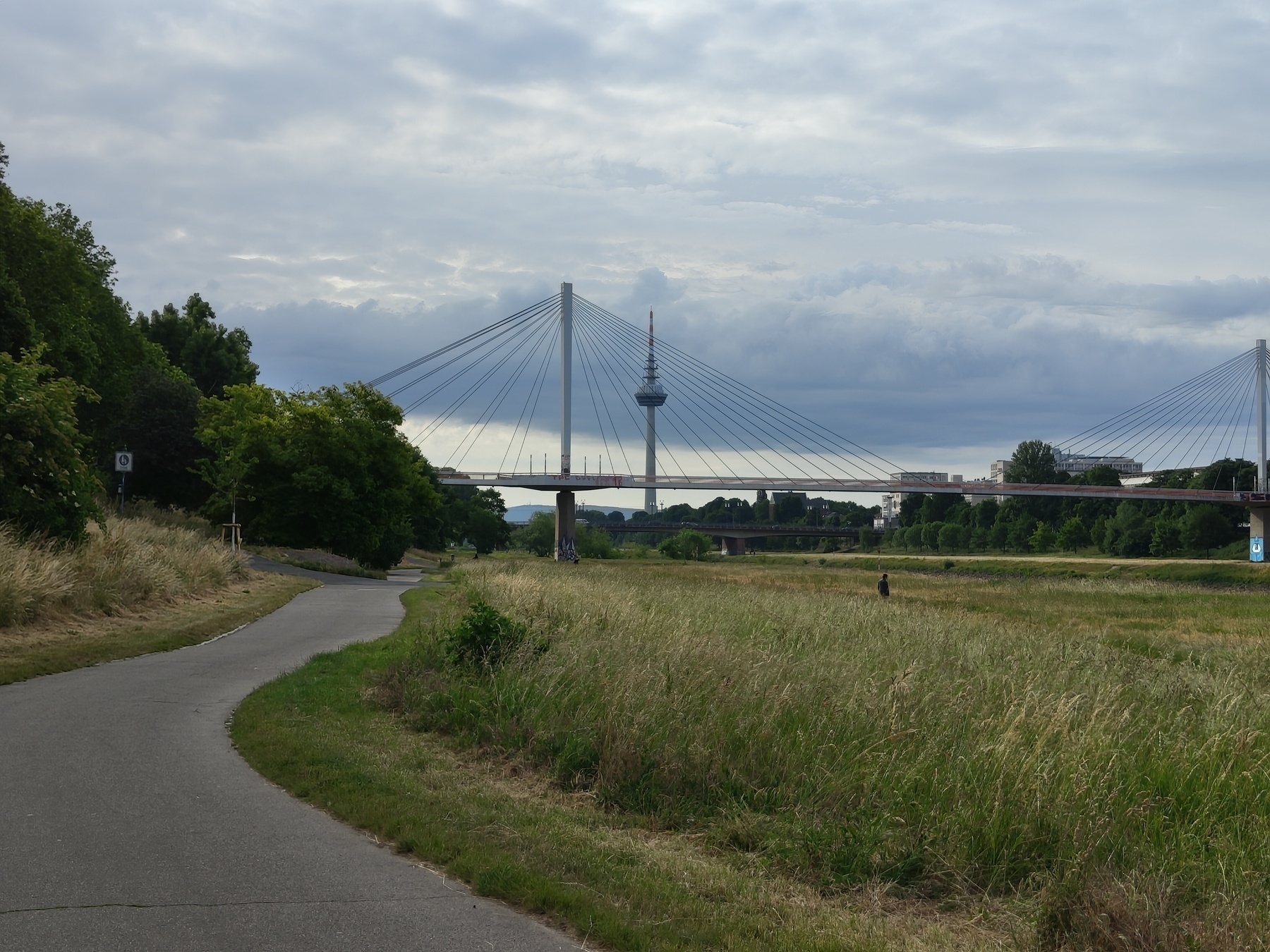 A winding path leads through grassy fields towards a cable-stayed bridge with a tall tower visible in the background.