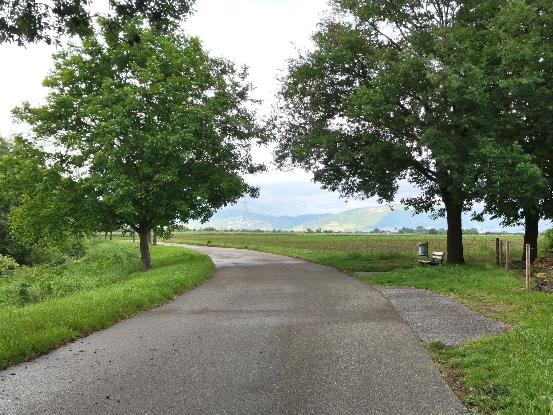 A winding road passes through lush green fields, lined with trees, under a partly cloudy sky with distant hills in the background.
