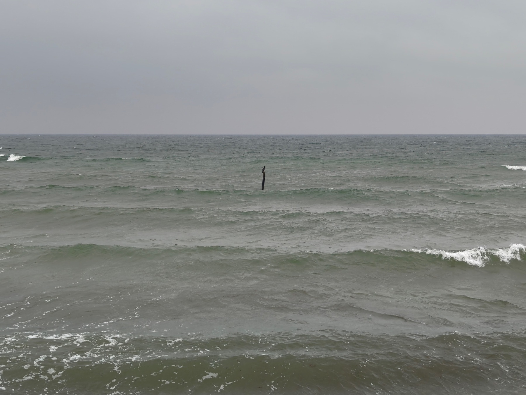 A gray, overcast sky looms over a calm, wavy ocean with a lone stick or pole emerging from the water in the distance.
