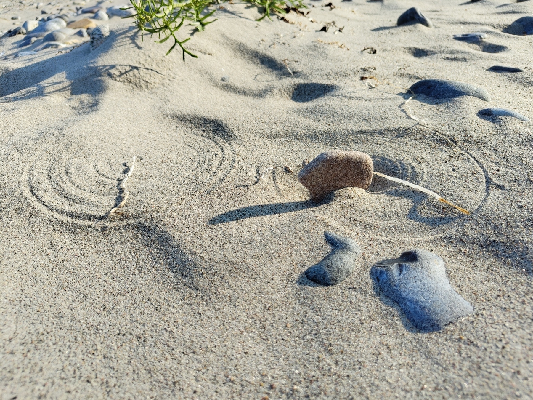 A sandy beach features scattered stones and faint circular markings, with a small plant emerging in the background.