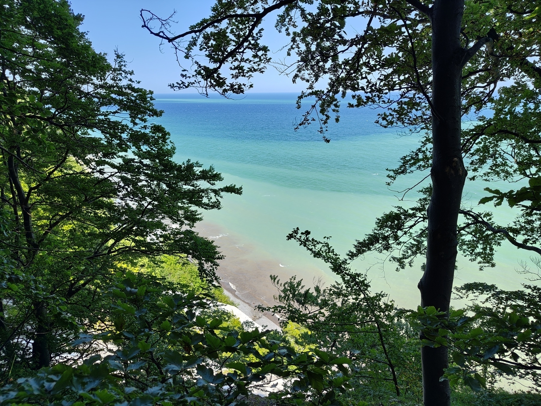 A view of a serene beach and turquoise sea is framed by lush, leafy trees.